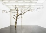 Tree, 1997
